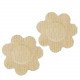 Petal Top Disposable Nipple Covers 15 Pair