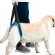 Dog Lift Harness