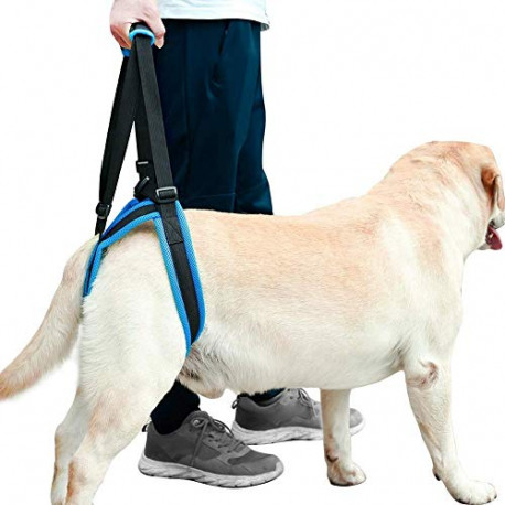 Dog Lift Harness