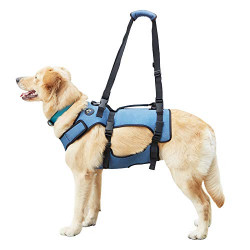 Dog Lift Harness