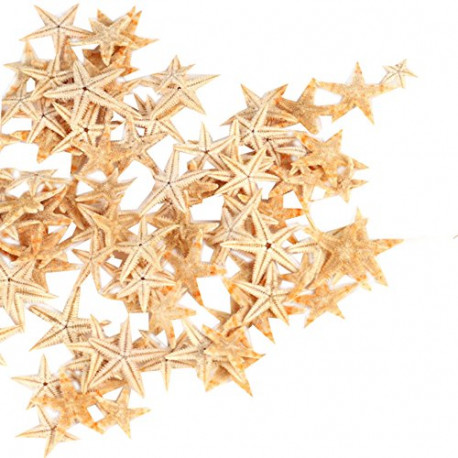 Small Starfish Star Sea Shell Beach Craft 0.4"-1.2" 90 Pcs