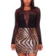 Women's Nightclub Sexy Sheer Mesh Bodycon