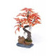 Bonsai Tree Aquarium Decor and Decoration