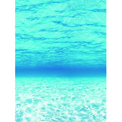 Board Art Paper, Under The Sea, 48" x 12', 1 Roll