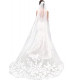 118' Long Cathedral Length Bridal Tulle With Combs and Lace Edge