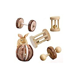 5 Pcs Hamster Chew Toys