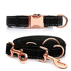 Medium-Large Big-Female Heavy-Duty Dog-Collar