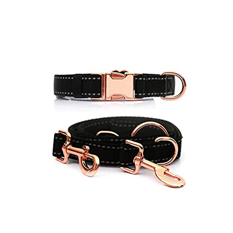 Medium-Large Big-Female Heavy-Duty Dog-Collar