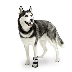 Dog Bootie Style Foot Splint for Dogs
