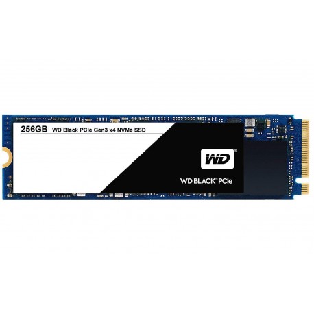 256GB Performance SSD - 8 Gb/s