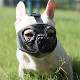 Short Snout Dog Muzzle- Adjustable