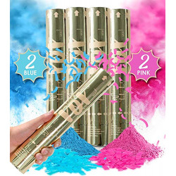 Set of 4 Mixed (2 Blue 2 Pink) Gender Reveal Party Supplies