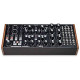 Moog Subharmonicon Semi-Modular Analog
