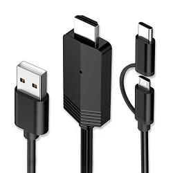 2 in1 USB Type C Micro USB to HDMI