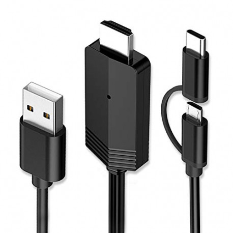 2 in1 USB Type C Micro USB to HDMI