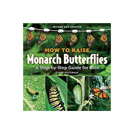 How to Raise Monarch Butterflies