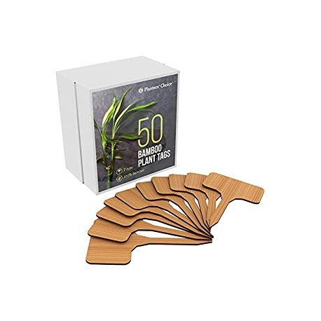 50 Bamboo Plant Labels in Gift Box