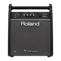 Roland PM-100 Compact Electronic