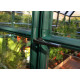 Gardener Greenhouse, 8' x 8', Dark Green