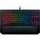 Tournament Edition Chroma : Esports Gaming Keyboard
