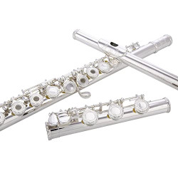 FLUTE 17 Hole OPEN/CLOSED C Flute With Case