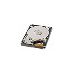 320 GB Internal Hard Drive