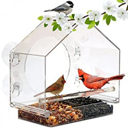 Window Feeder for Birds