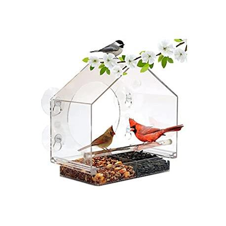 Window Feeder for Birds
