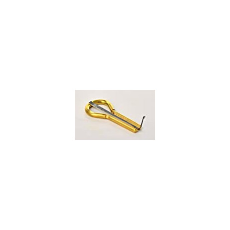 Jews Harp, Vargan, Professional